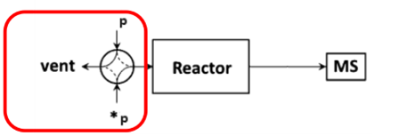 Application of Steady-State Isotopic Transient Kinetic Analysis (SSITKA) Technology in Catalytic Reactions