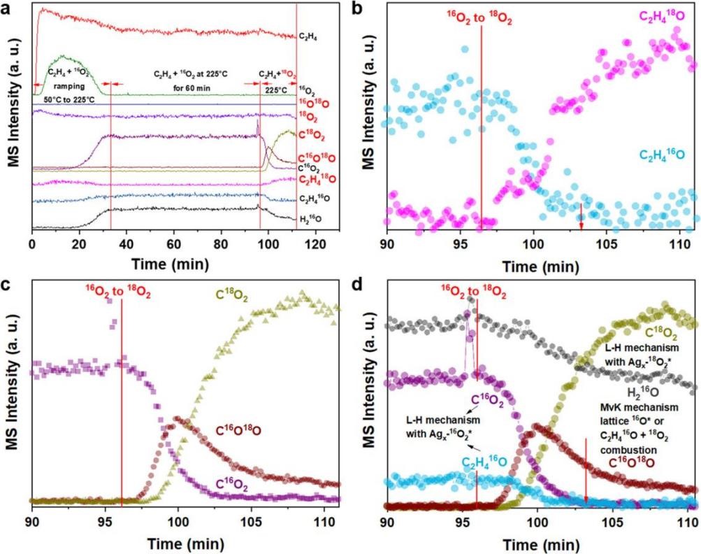 Steady-State Isotopic Transient Kinetic Analysis (SSITKA) Technology in Catalytic Reactions