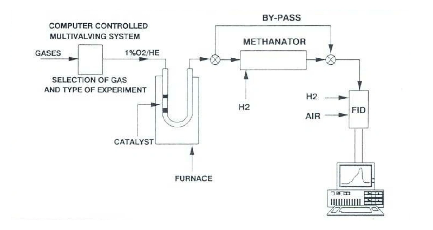 Truely Free Home (10)